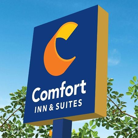 Comfort Inn & Suites Texas City Zewnętrze zdjęcie
